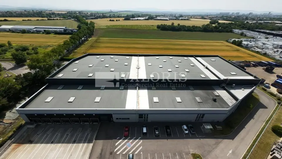 À LOUER  Plateforme logistique fonctionnelle à Corbas