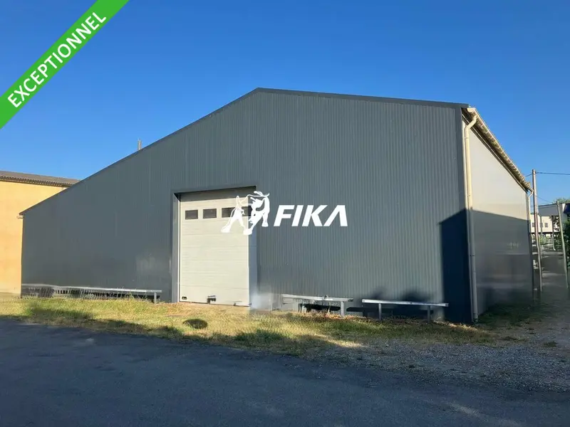 A VENDRE LOCAL D'ACTIVITÉ 320 m² - (31320) CASTANET-TOLOSAN