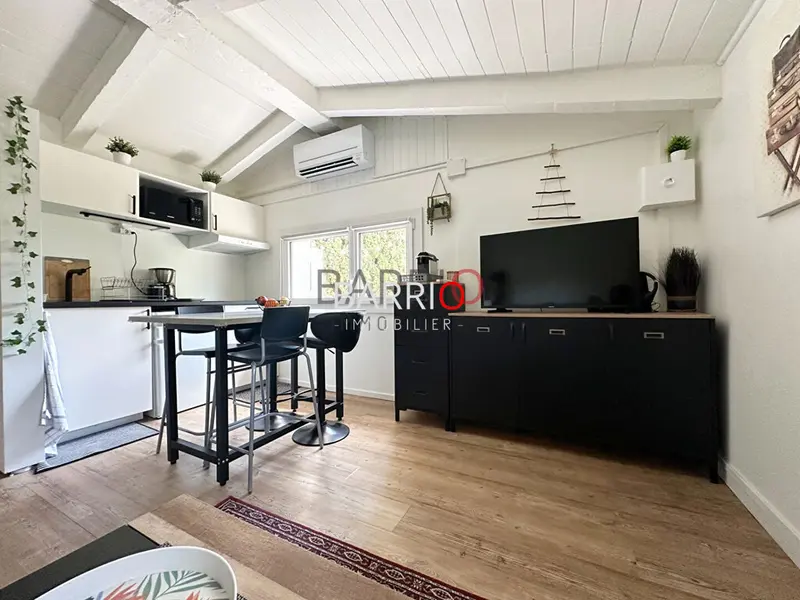 ARGELES SUR MER appartement T3 à 100m de la plage