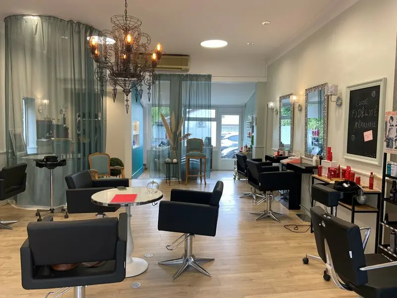 LOCAL COMMERCIAL A CEDER SUR AXE DU TRAM LE BOUSCAT