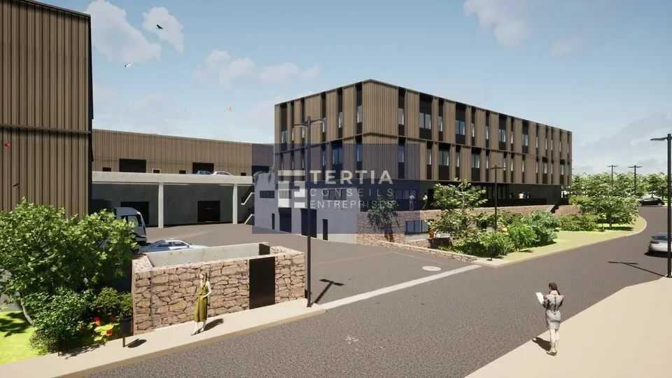 NOUVEAU - BUREAUX DISPONIBLES - VILLENEUVE LES MAGUELONE