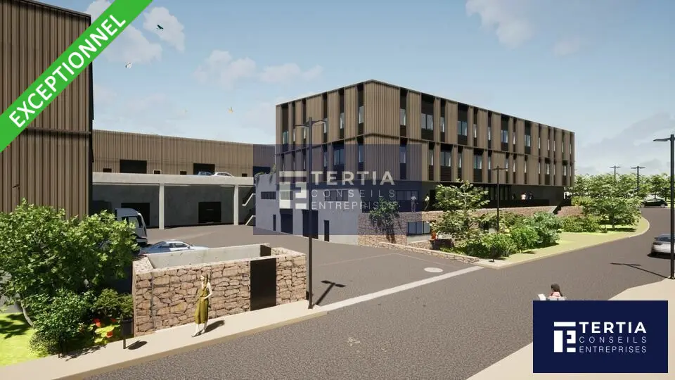 MTP SUD - LOCAUX D ACTIVITES NEUFS A VENDRE A PARTIR DE 190 M² ENV.