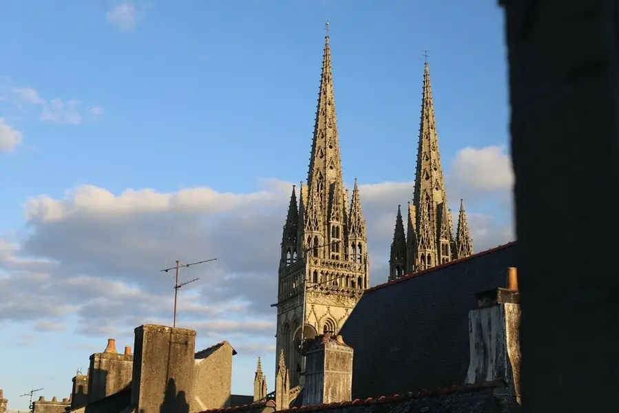 LOCAL A FORT POTENTIEL - EXTRACTION EXISTANTE