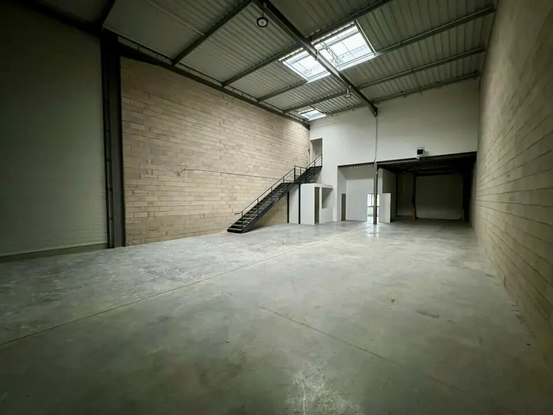 Cellules d'activité neuves