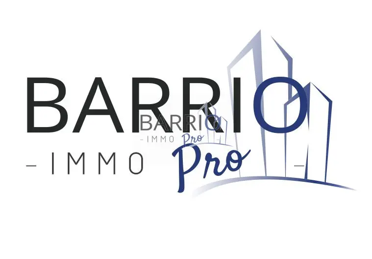 Fonds de commerce à vendre - Agence immobilière - Saint-Cyprien (66750) - 87 ...