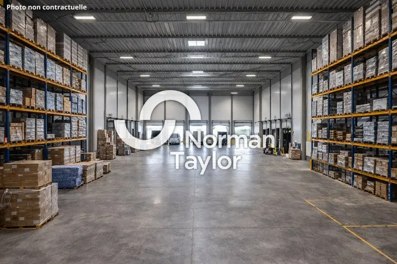 A louer Locaux d'activité 2096m² Mauguio