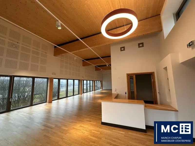 IMMEUBLE PASSIF - A VENDRE - SECTEUR SAVERNE