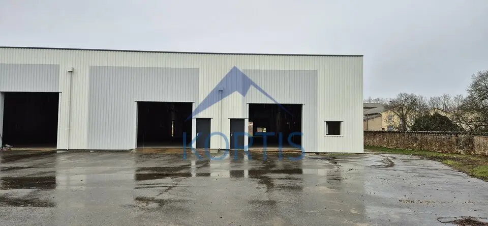 A vendre Locaux d'activité 1094m² Belleville