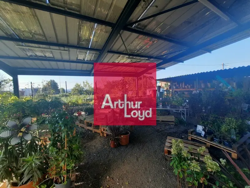 SECTEUR 63 A VENDRE JARDINERIE ANIMALERIE BRICOLAGE