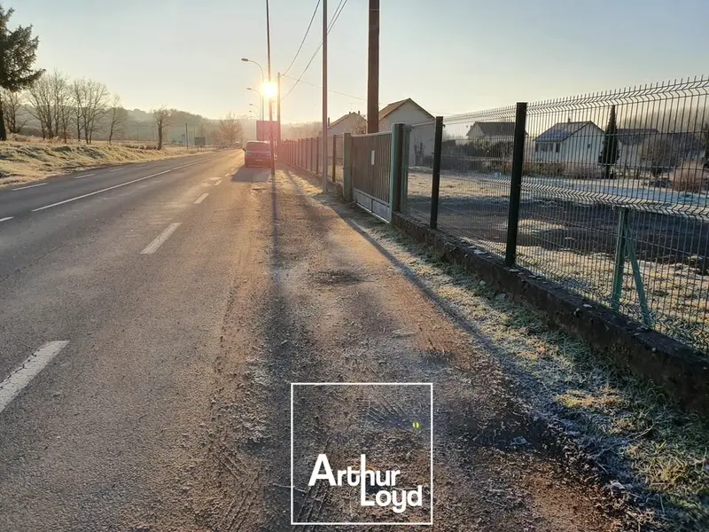 Terrain à vendre - Allassac (19240) - 10959 m²