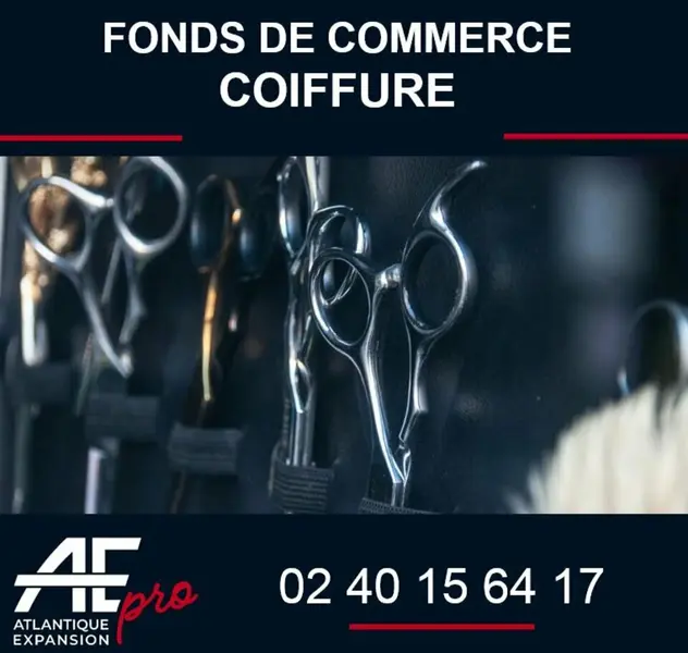 Fonds de commerce à vendre - Sainte-Anne-Sur-Brivet (44160) - 125 000 €