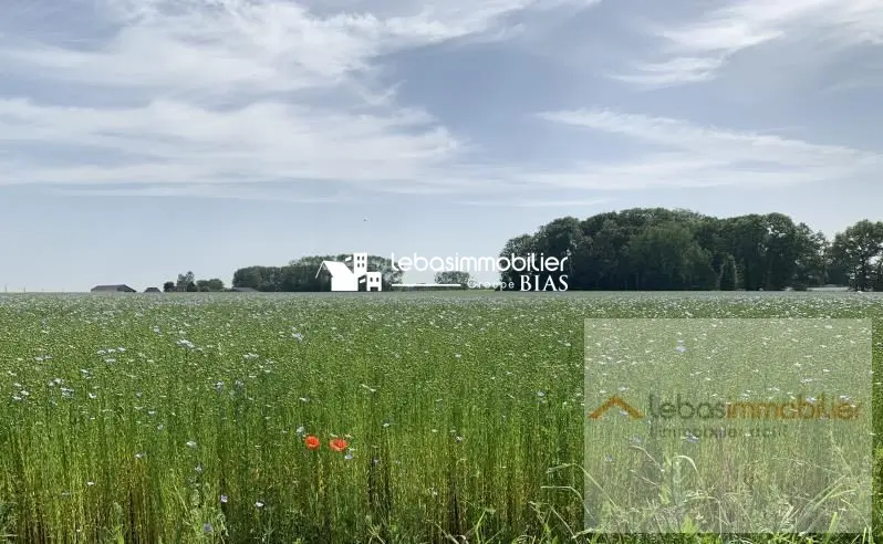 Terrain à vendre - Allouville-Bellefosse (76190) - 519 m²