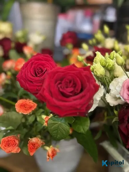 Fonds de commerce à vendre - Boutiques spécialisées - Rueil-Malmaison (92500)...