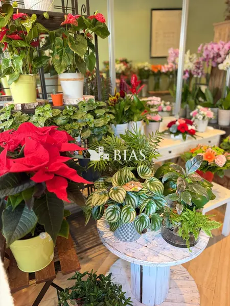 À VENDRE – Fonds de commerce Fleuriste