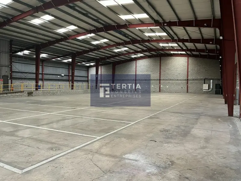 A louer Locaux d'activité 2892m² Baillargues