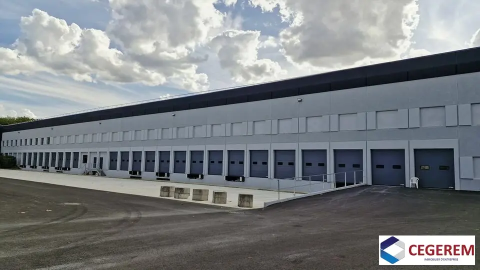A LISSES 8000 M2 ENTREPOT ACTIVITE STOCKAGE
