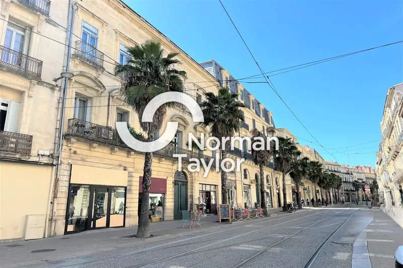Local Commercial à louer - Montpellier (34000) - 443 m² - 7 500 €/mois