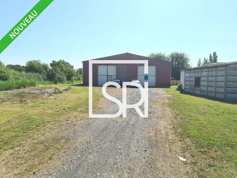 Entrepôt / Activité à louer - Aulnat (63510) - 600 m² - 3 700 €/mois